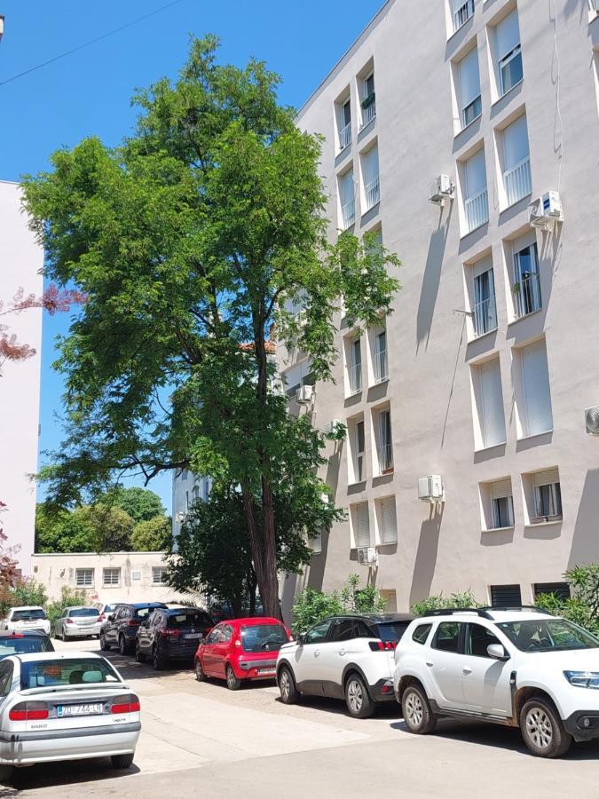 Marinero Apartment Zadar Exterior photo